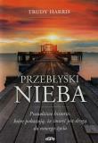 Przebłyski nieba. Autor: Harris Trudy. Dadada.pl Okładka książki Przebłyski nieba