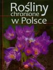 Rośliny chronione w Polsce. Autor: Izabella Sieńko-Holewa. Dadada.pl Okładka książki Rośliny chronione w Polsce