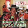 Ballady i romanse cygańskie. Autor: Andrzej Tenard. Dadada.pl Okładka książki Ballady i romanse cygańskie