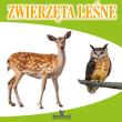 Harmonijka - Zwierzęta leśne. Autor: Małgorzata Szewczyk-Nowak. Dadada.pl Okładka książki Harmonijka - Zwierzęta leśne
