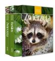 Spotkania z przyrodą. Rośliny, zwierzęta. Autor: Zbigniew Nawara, Inga Szwedler, Wilfried Stichman. Dadada.pl Okładka książki Spotkania z przyrodą. Rośliny, zwierzęta