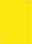 Opakowanie Teczka z gumką A4+ Fluo żółta (10szt)