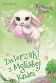Okładka książki Króliczek Becia