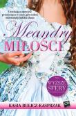 Meandry miłości. Autor: Bulicz-Kasprzak Kasia. Dadada.pl Okładka książki Meandry miłości