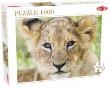 Opakowanie Puzzle 1000 Lew