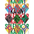 Okładka książki Splendor tkaniny