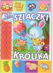 Szlaczki królika. Autor: Katarzyna Fic. Dadada.pl Okładka książki Szlaczki królika
