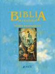 Biblia dla każdego T.9 Nowy Testament T.1. Autor: praca zbiorowa. Dadada.pl Okładka książki Biblia dla każdego T.9 Nowy Testament T.1