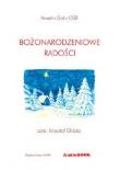 Bożonarodzeniowe radości CD. Autor: Anselm Grun. Dadada.pl Okładka książki Bożonarodzeniowe radości CD