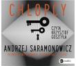 Chłopcy - audiobook. Autor: Andrzej Saramonowicz. Dadada.pl Okładka książki Chłopcy - audiobook
