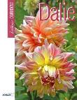 Okładka książki Dalie - królowe ogrodów