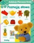 Kolekcja pierwsze kroki - Poznaję słowa. Wydawca: Grafag. Dadada.pl Opakowanie Kolekcja pierwsze kroki - Poznaję słowa