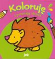 Koloruje i poznaję słowa - Jeż. Autor: praca zbiorowa. Dadada.pl Okładka książki Koloruje i poznaję słowa - Jeż