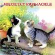 Okładka książki Mięciutcy przyjaciele