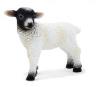 Opakowanie Owieczka czarnogłówka stojąca ANIMAL PLANET