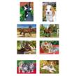 Opakowanie Pakiet Puzzle 54x8 mini - Zwierzęta AXEL
