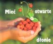 Perełka 115 - Mieć otwarte dłonie. Autor: Opracowanie zbiorowe. Dadada.pl Okładka książki Perełka 115 - Mieć otwarte dłonie
