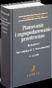 Okładka książki Planowanie i zagospodarowanie przestrz. wyd.6