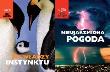 Okładka książki Siła natury - We władzy instynktu, Nieujarzmiona..