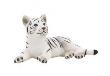 Opakowanie Tygrysiątko białe w pozycji leżącej ANIMAL PLANET