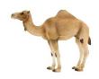 Opakowanie Wielbłąd arabski (dromader) ANIMAL PLANET