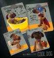 Opakowanie Zeszyt A5/60K/BR kratka 10 szt Cool Dog