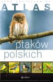 Atlas ptaków polskich. Autor: Przybyłowicz Anna. Dadada.pl Okładka książki Atlas ptaków polskich