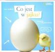 Okładka książki Co jest w jajku? Książka o cyklach życia