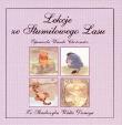 Okładka książki Kubuś Puchatek - Lekcje ze stumilowego lasu