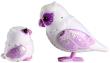 Opakowanie Little live Pets Sowa i sówka
