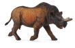 Okładka książki Megacerops