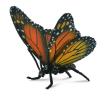 Okładka książki Motyl królewski