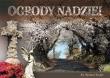 Ogrody nadziei. Autor: ks. Ryszard Koper. Dadada.pl Okładka książki Ogrody nadziei