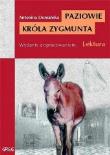 Paziowie Króla Zygmunta z oprac. GREG. Autor: Domańska Antonina. Dadada.pl Okładka książki Paziowie Króla Zygmunta z oprac. GREG