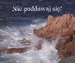 Perełka 118 - Nie poddawaj się!. Autor: Opracowanie zbiorowe. Dadada.pl Okładka książki Perełka 118 - Nie poddawaj się!