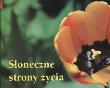 Perełka 129 - Słoneczne strony życia. Autor: Opracowanie zbiorowe. Dadada.pl Okładka książki Perełka 129 - Słoneczne strony życia