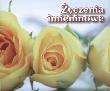 Perełka 159 - Życzenia imieninowe. Autor: Opracowanie zbiorowe. Dadada.pl Okładka książki Perełka 159 - Życzenia imieninowe