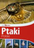 Piękna Polska Ptaki Polski wyd. II Dragon. Autor: Przybyłowicz Anna, Przybyłowicz Łukasz. Dadada.pl Okładka książki Piękna Polska Ptaki Polski wyd. II Dragon