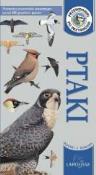 Ptaki Polski i Europy  HACHETTE. Autor: David Pegler. Dadada.pl Okładka książki Ptaki Polski i Europy  HACHETTE