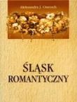 Śląsk Romantyczny. Autor: Aleksandra J. Ostroch. Dadada.pl Okładka książki Śląsk Romantyczny