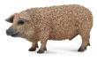Okładka książki Świnia węgierska Mangalica