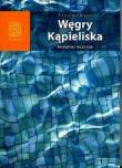 Węgry. Kąpieliska termalne i lecznicze Wyd. II. Autor: Swajdo Jarosław, Chojnacka Monika. Dadada.pl Okładka książki Węgry. Kąpieliska termalne i lecznicze Wyd. II