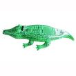 Opakowanie Aligator pływający 168 cm