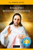 Bogactwo Bożego Miłosierdzia. Autor: Ks. Andrzej Witko. Dadada.pl Okładka książki Bogactwo Bożego Miłosierdzia