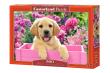 Opakowanie Puzzle 500 Labrador Puppy in Pink Box CASTOR