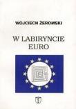 Okładka książki W labiryncie euro