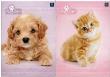 Opakowanie Zeszyt A5/32K linia Puppy Sign (10szt)