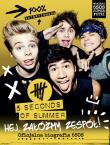 5 Seconds Of Summer. Hej załóżmy zespół. Autor: 5 Seconds of Summer. Dadada.pl Okładka książki 5 Seconds Of Summer. Hej załóżmy zespół