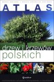 Atlas drzew i krzewów polskich. Autor: Renata i Marek Kosińscy. Dadada.pl Okładka książki Atlas drzew i krzewów polskich