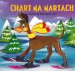 Chart na nartach. Autor: Andrzej Monastyrski. Dadada.pl Okładka książki Chart na nartach